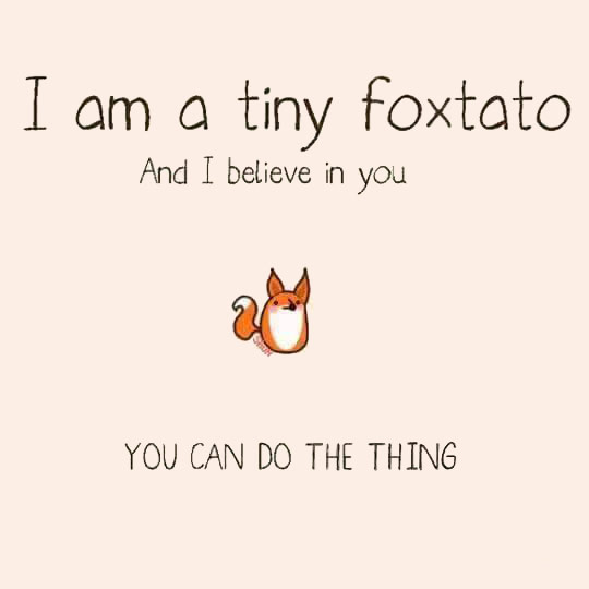 I believe in you!